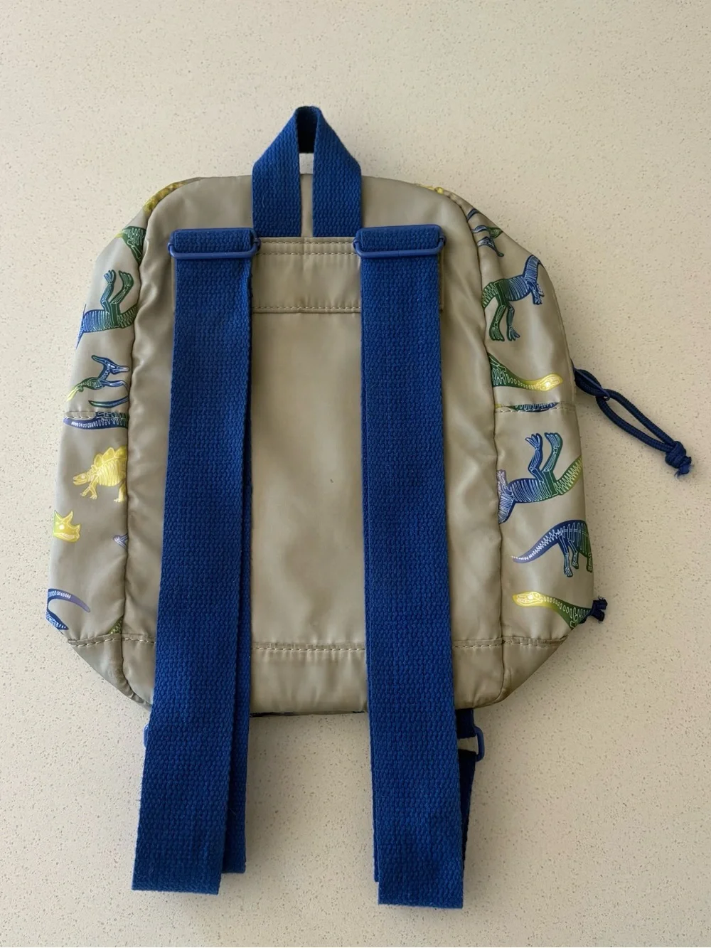 Kids Mini Dinosaur Print Backpack